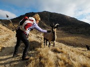 Non sempre le ciambelle escono col buco…Termenone sì, Berlinghera no ! Il 13 gennaio 2015  - FOTOGALLERY